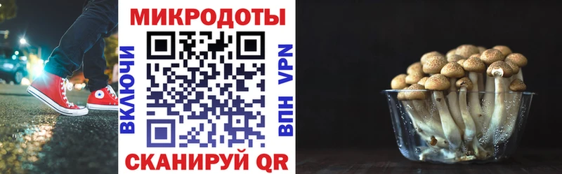 darknet формула Лихославль Псилоцибиновые грибы GOLDEN TEACHER